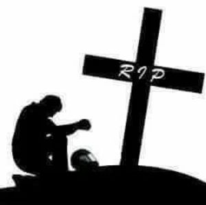 Meet your Posher, Pedro j